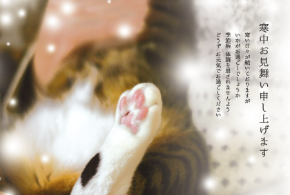 猫（寒中見舞い）のポストカード：商品番号 1058