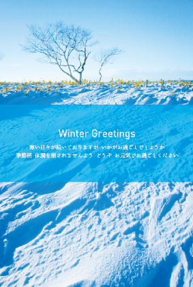 雪景色（寒中見舞い）のポストカード：商品番号 3497