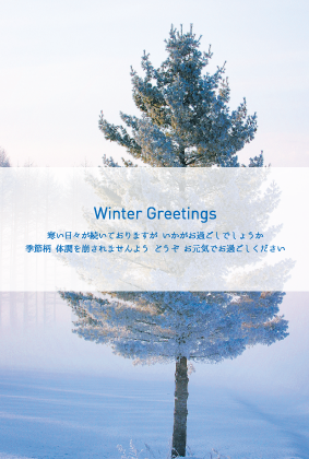 雪景色（寒中見舞い）のポストカード：商品番号 3511