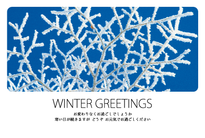 雪景色（寒中見舞い）のポストカード：商品番号 3515