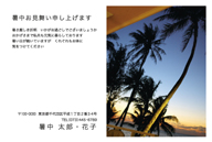ヤシの木の暑中見舞いはがき