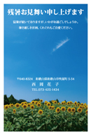 ひまわりの残暑見舞いはがき