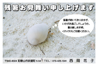 残暑見舞いはがき