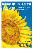 ひまわりの残暑見舞いはがき