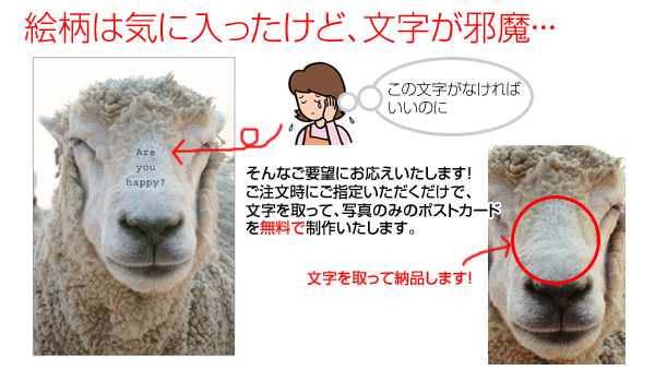 絵柄は気に入ったけど、文字が邪魔-そんな要望にお応えいたします。