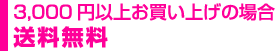 3,000円以上お買い上げの場合送料無料