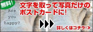 文字を取って写真だけのポストカードに!!