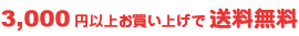 3,000円以上で送料無料