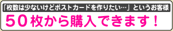 50枚から購入できます！