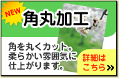 角丸加工ポストカード
