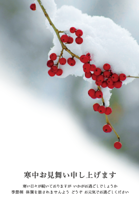 雪景色（寒中見舞い）のポストカード：商品番号 3010