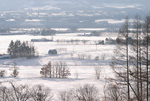 北海道・雪風景ポストカード