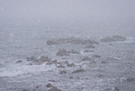 北海道・雪風景ポストカード