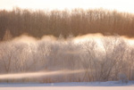 北海道・雪風景(更別)ポストカード