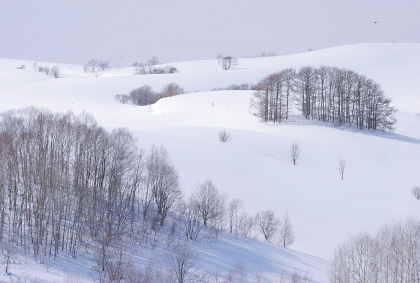 北海道風景ポストカード：商品番号 h3134