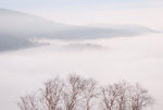 北海道・雪風景(新得)ポストカード