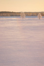 北海道・雪風景(帯広)ポストカード