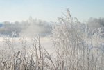 北海道・雪風景(池田)ポストカード