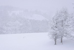 北海道・雪風景(幌延)ポストカード