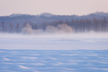 北海道風景ポストカード：商品番号 h3214