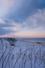 北海道・雪風景(網走)ポストカード