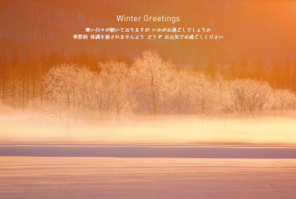 雪景色（寒中見舞い）のポストカード：商品番号 3506