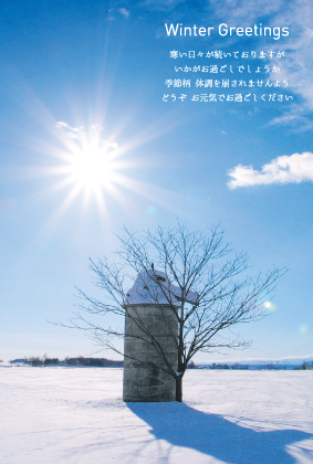 雪景色（寒中見舞い）のポストカード：商品番号 3615