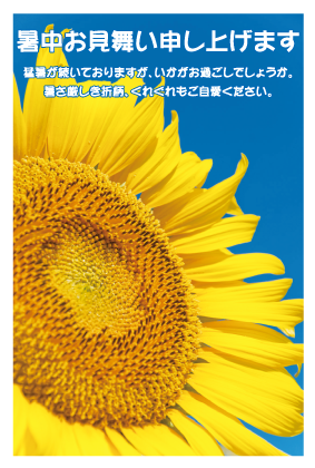 暑中見舞い（ひまわり）ポストカード：商品番号 s0114
