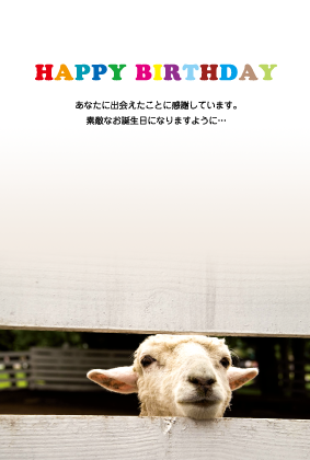 羊のポストカード：商品番号 A3673