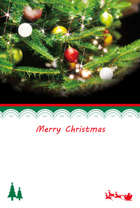 クリスマスポストカード：商品番号 3686