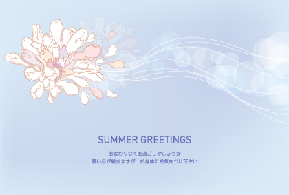 暑中見舞い（花）ポストカード：商品番号 3815