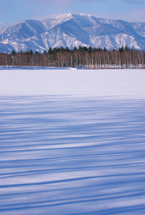 北海道風景ポストカード：商品番号 h4388