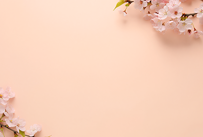 桜のポストカード / 商品番号 5173