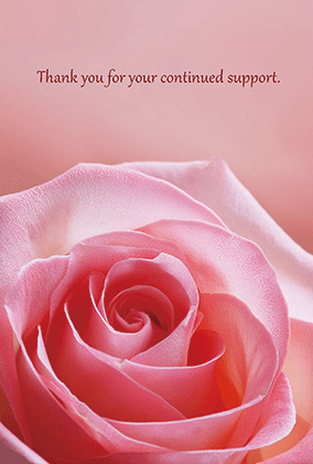 バラのポストカード：商品番号 5206