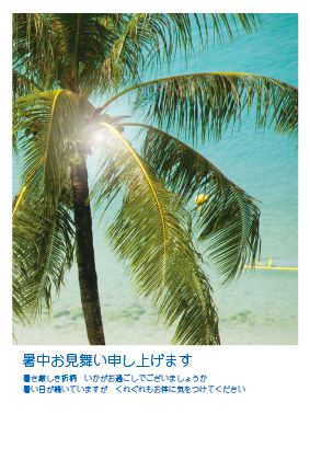 暑中見舞い（ヤシの木）ポストカード：商品番号 s0052