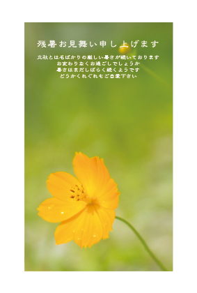 残暑見舞い（花）ポストカード：商品番号 z0051