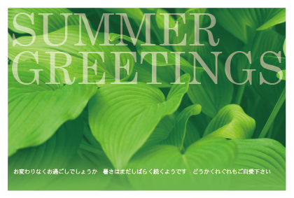 残暑見舞い（緑葉）ポストカード：商品番号 z0098